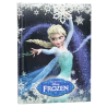 Diario Frozen Elsa movie Disney